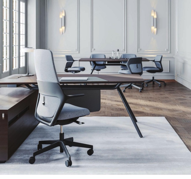 Bureau professionnel avec fauteuils, tables et chaises